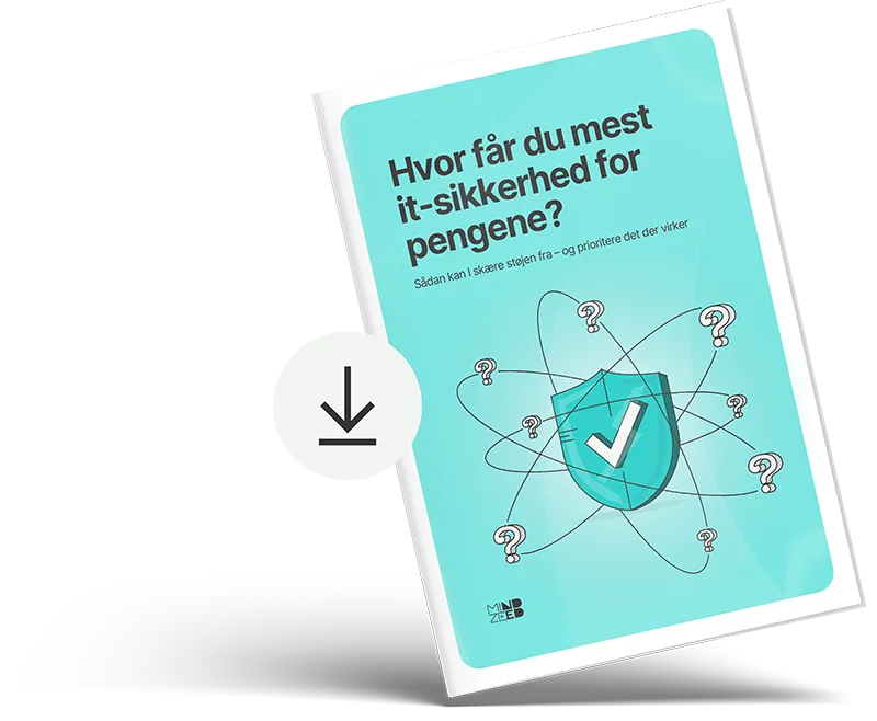 Rapport: Hvor får du mest it-sikkerhed for pengene?